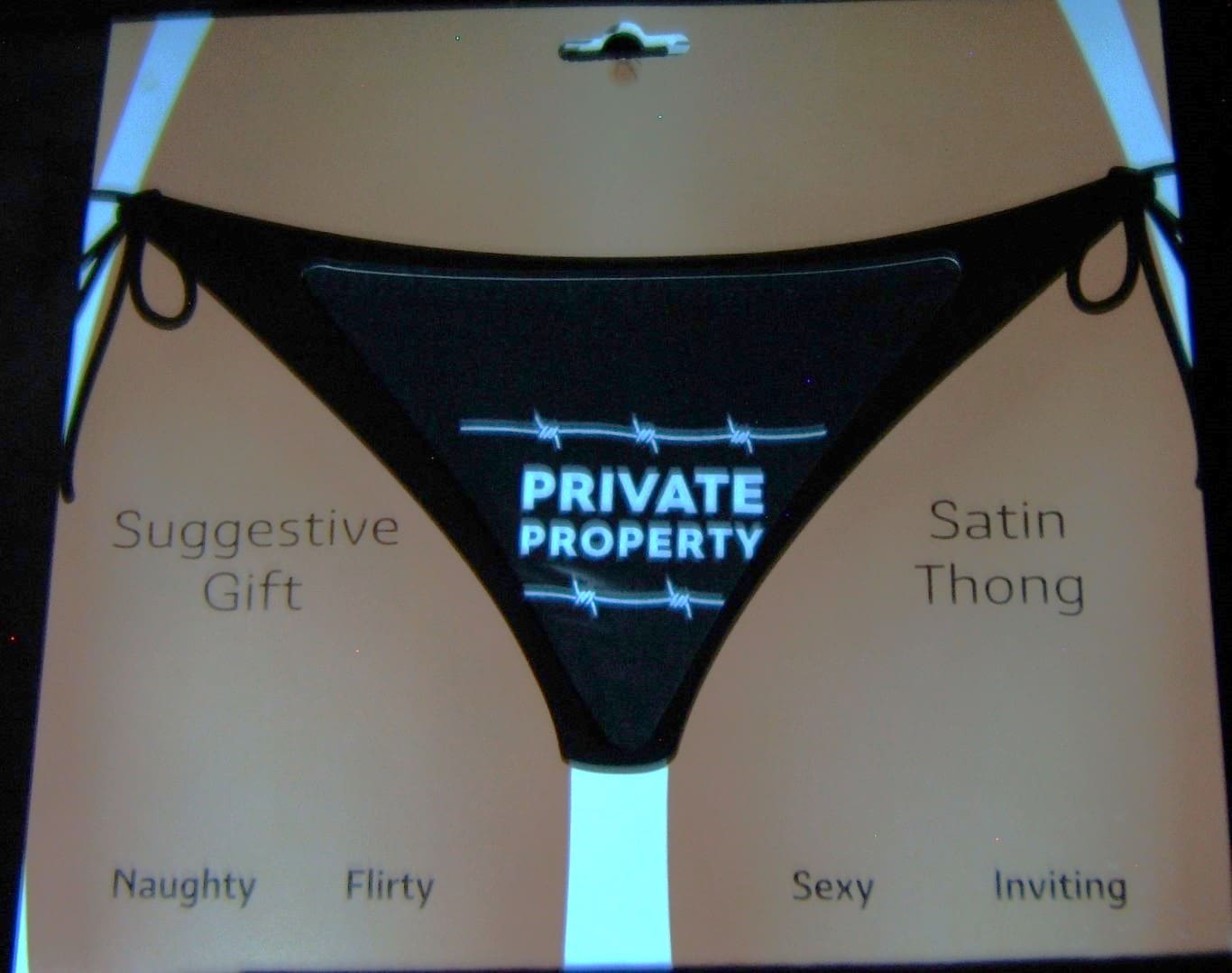 A black and white picture of a thong with the words " private property ".